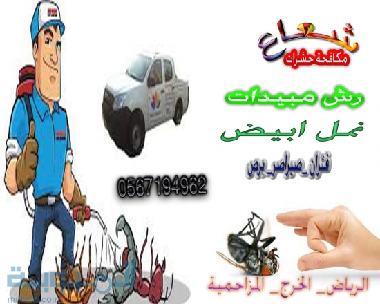 شركة مكافحة حشرات بالرياض