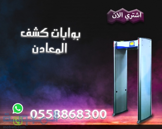 بوابات كشف المعادن