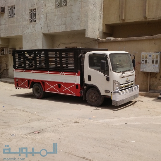 دينا نقل عفش داخل الرياض