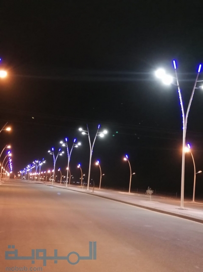 مؤسسة خالد البديوي لاعمدة