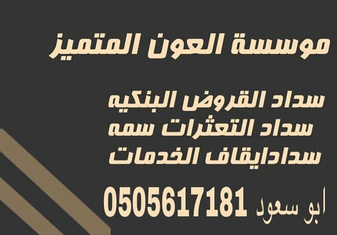 تمويل وسداد قروض — صورة 2