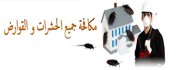 شركة رش مبيدات حشرية — صورة 1