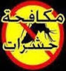 شركة رش مبيدات حشرية — صورة 2