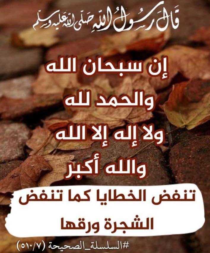 معلمة لغة انجليزية متميزة — صورة 1