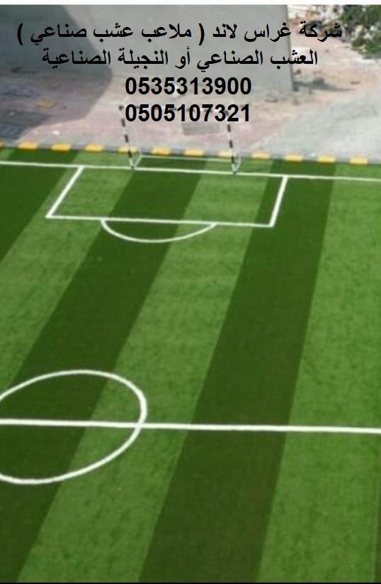 شركة غراس لاند ملاعب عشب — صورة 4