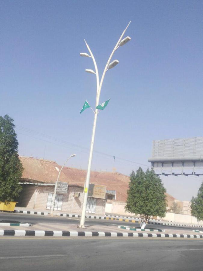 أعمدة انارة ديكورية — صورة 1