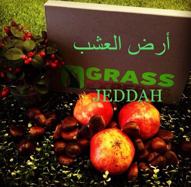 شركة غراس لاند — صورة 1