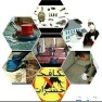 مكافحه حشرات — صورة 4