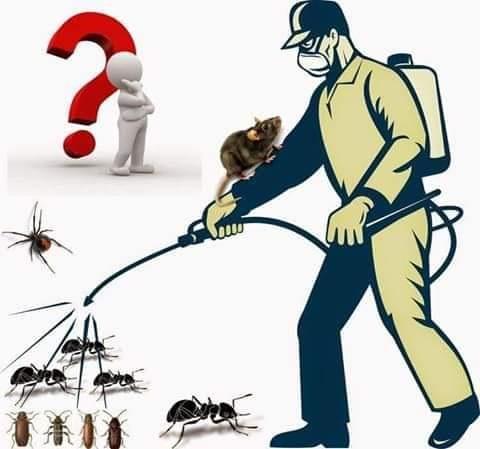 شركة مكافحة الحشرات بجدة — صورة 1