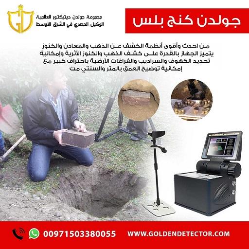 جولدن كينج بلس — صورة 1