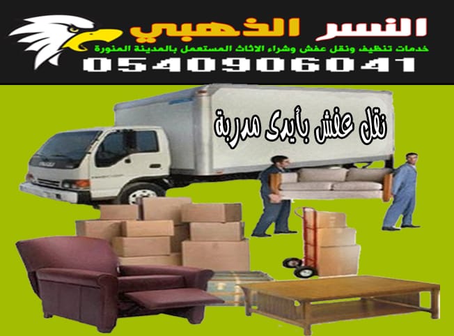 شركة,النسر,الذهبي,تنظيف,م — صورة 3