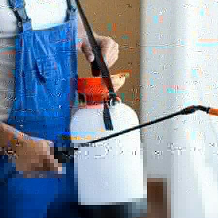 شركه مكافحة حشرات — صورة 3
