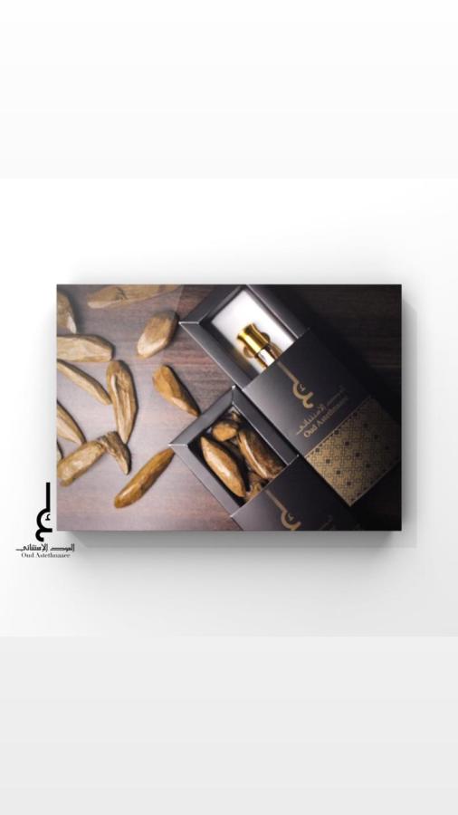 العود الاستثنائي — صورة 4