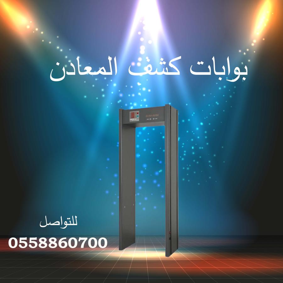 بوابات كشف المعادن — صورة 1