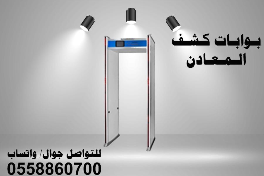بوابات كشف المعادن — صورة 3