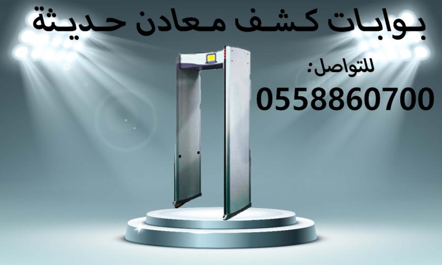 البوابات الأمنية للمعادن — صورة 3