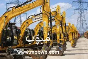كرين للايجار في الجبيل — صورة 3